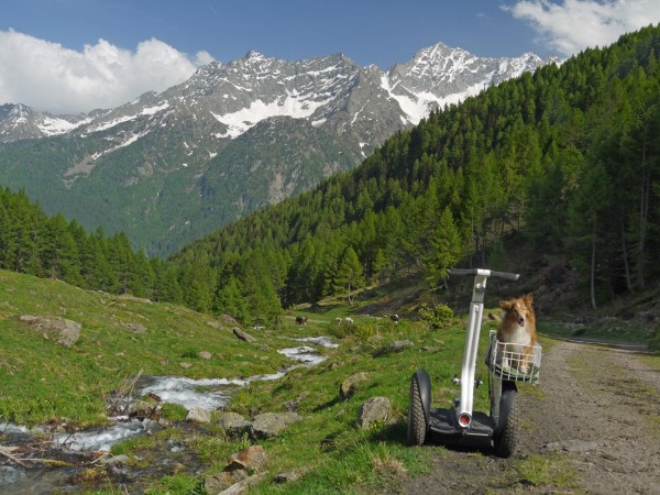 Im Val Strino auf ca. 1800m, kurz unterhalb der Malga Strino